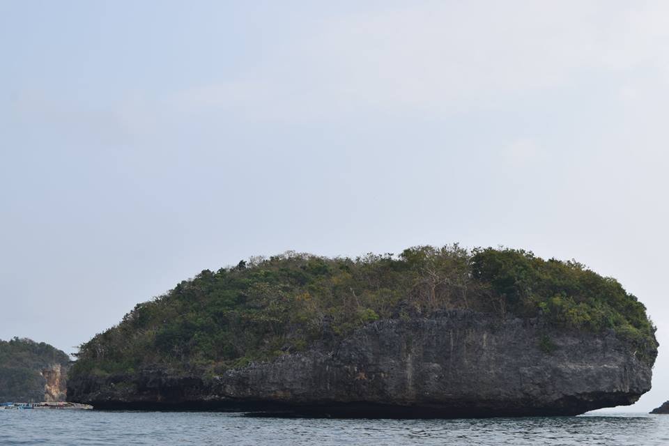 Photo uploaded by janin122, 423