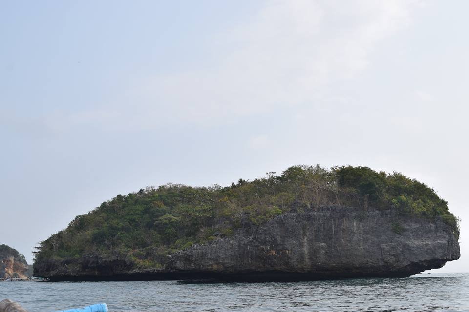 Photo uploaded by janin122, 424