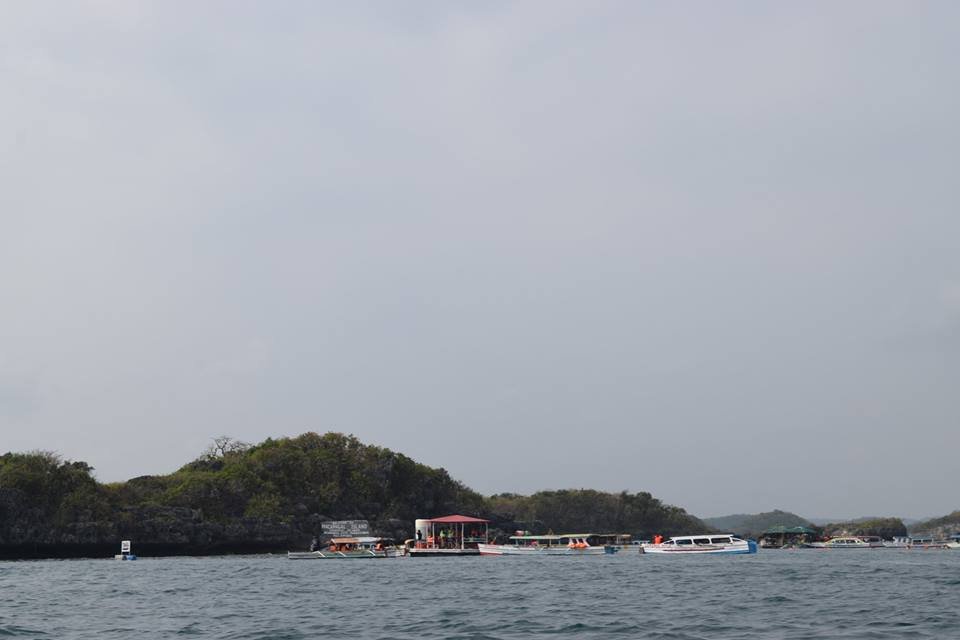 Photo uploaded by janin122, 442