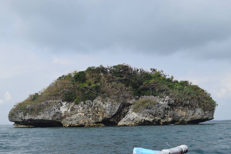Photo uploaded by janin122, 449