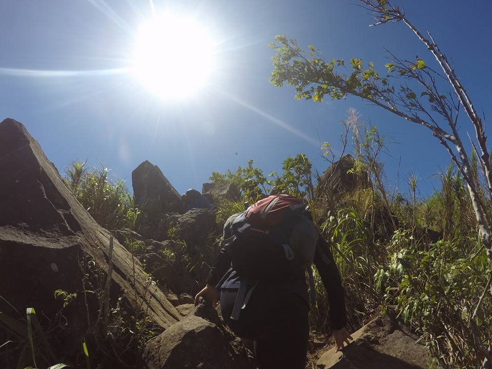Photo uploaded by janin122, 480