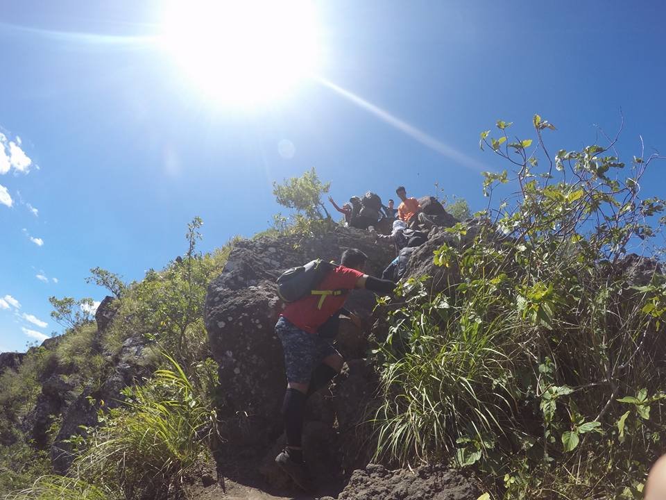 Photo uploaded by janin122, 481