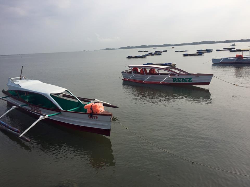 Photo uploaded by janin122, 496