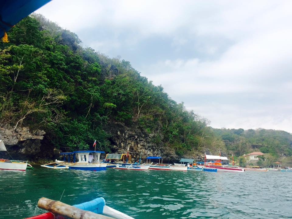 Photo uploaded by janin122, 504