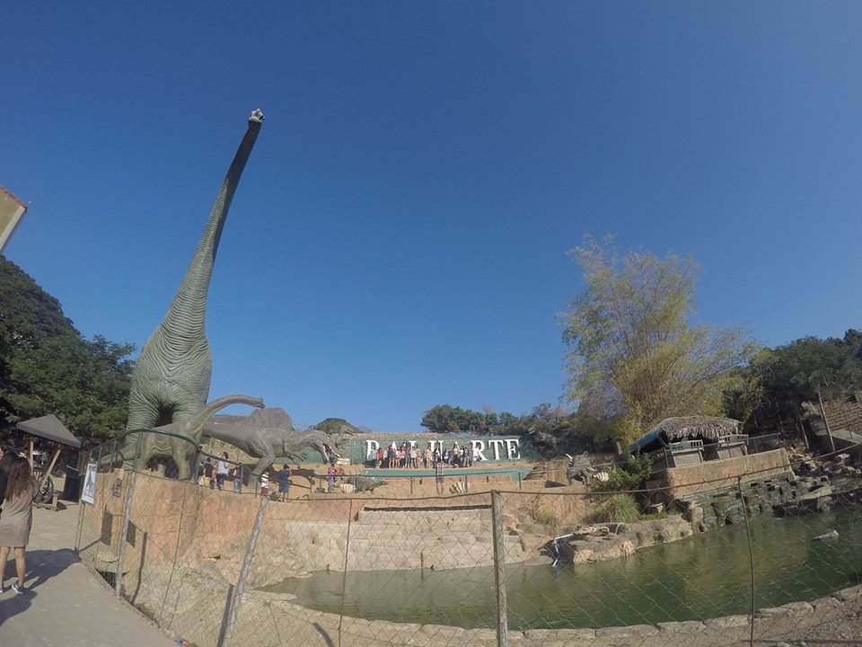 Photo uploaded by janin122, 597