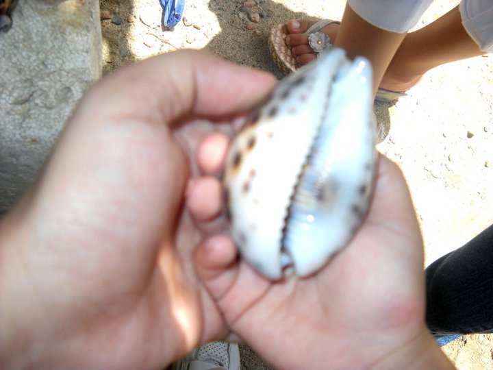 Photo uploaded by janin122, 866