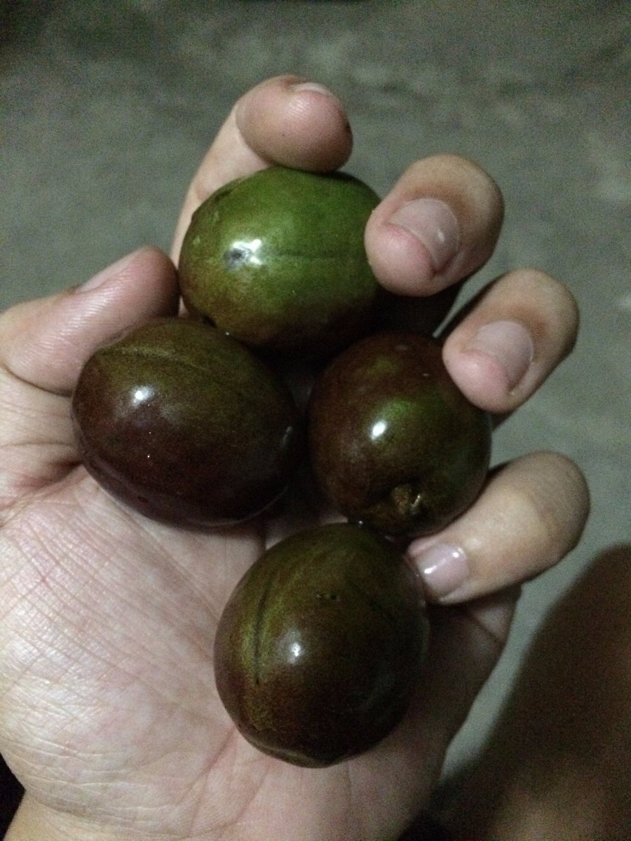 Photo uploaded by janin122, 904