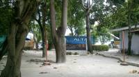 alta cebu