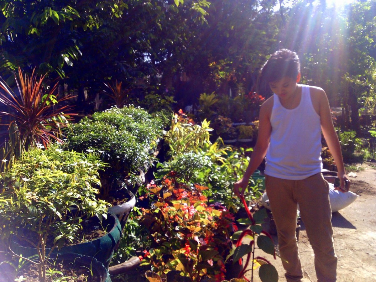Classmate, plants