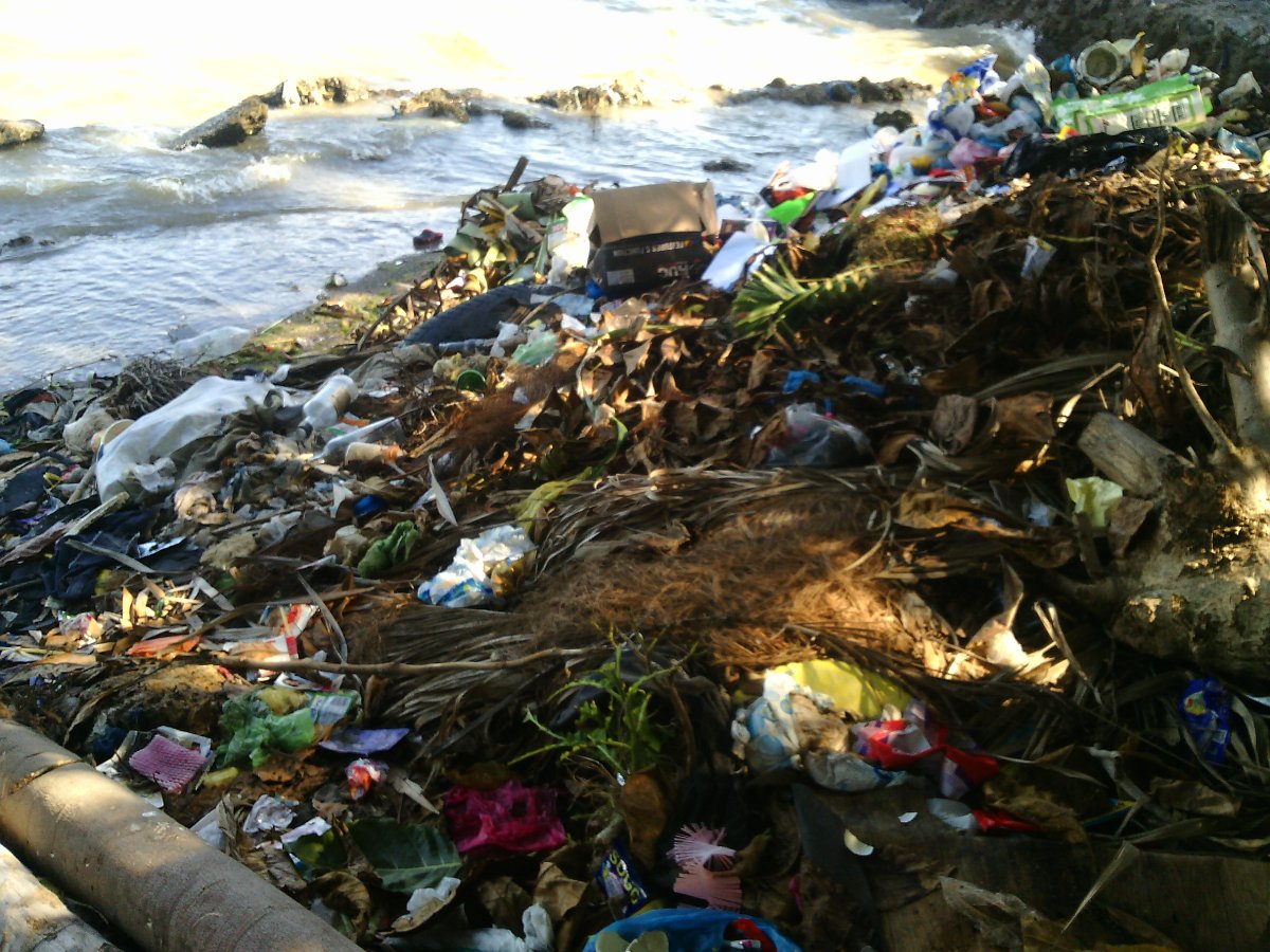 Garbage, pollution