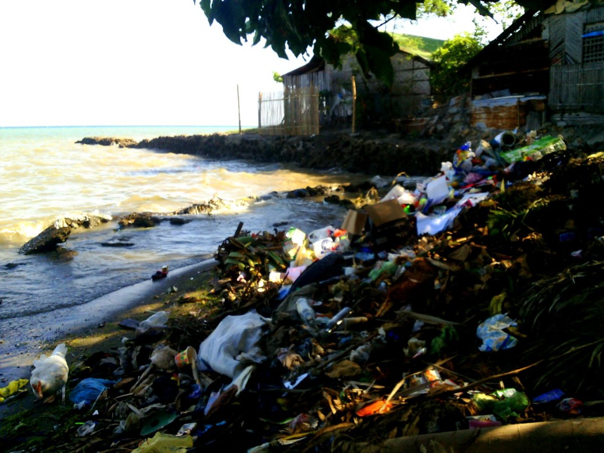 Garbage, pollution