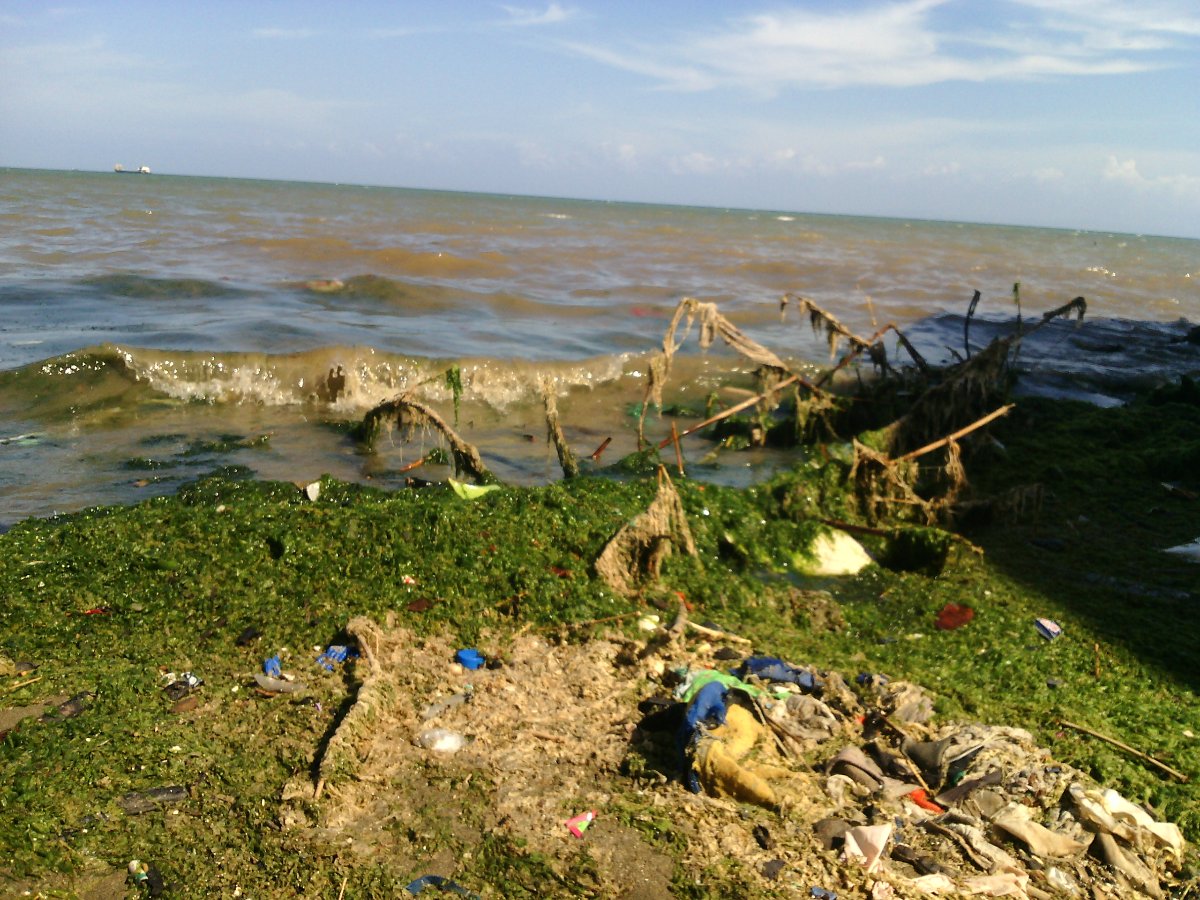 Garbage, pollution