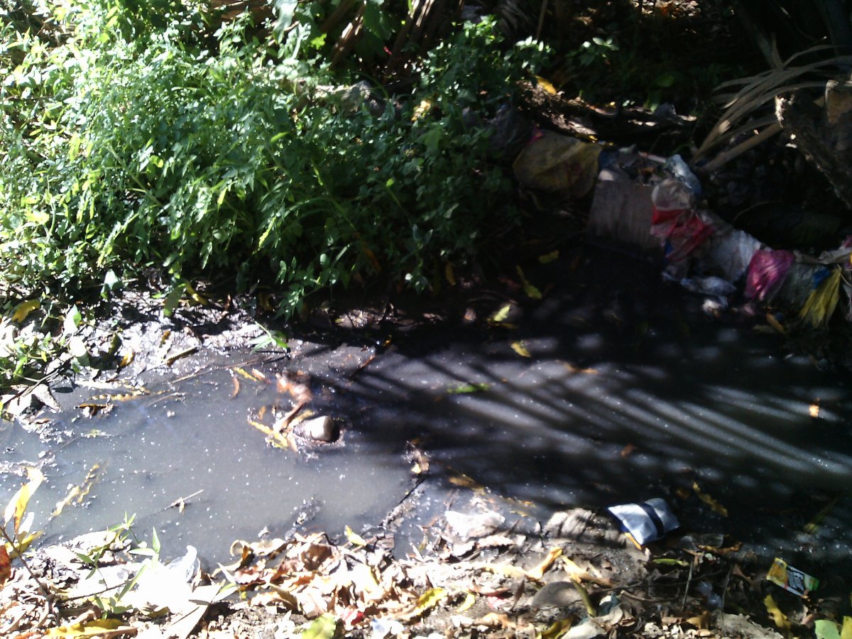 Garbage, pollution