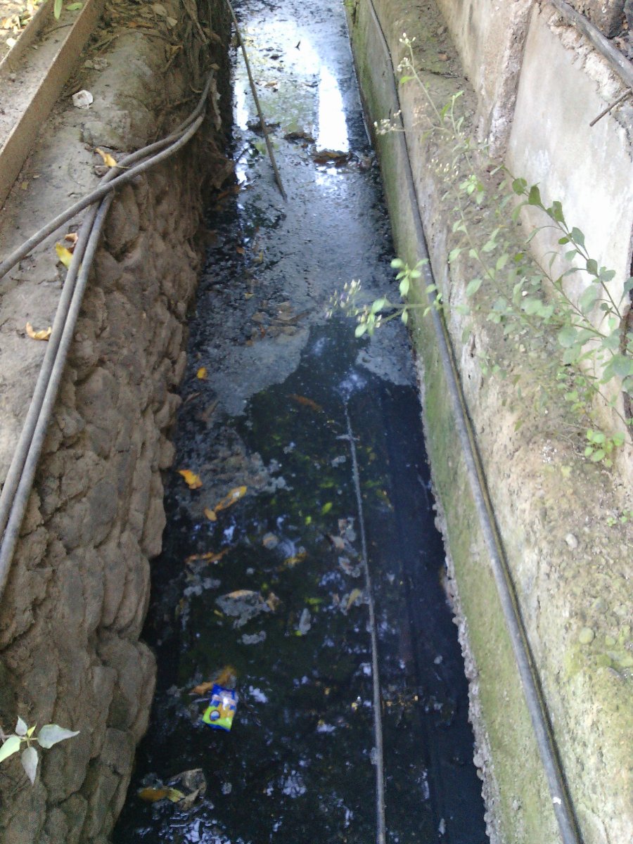 Garbage, pollution