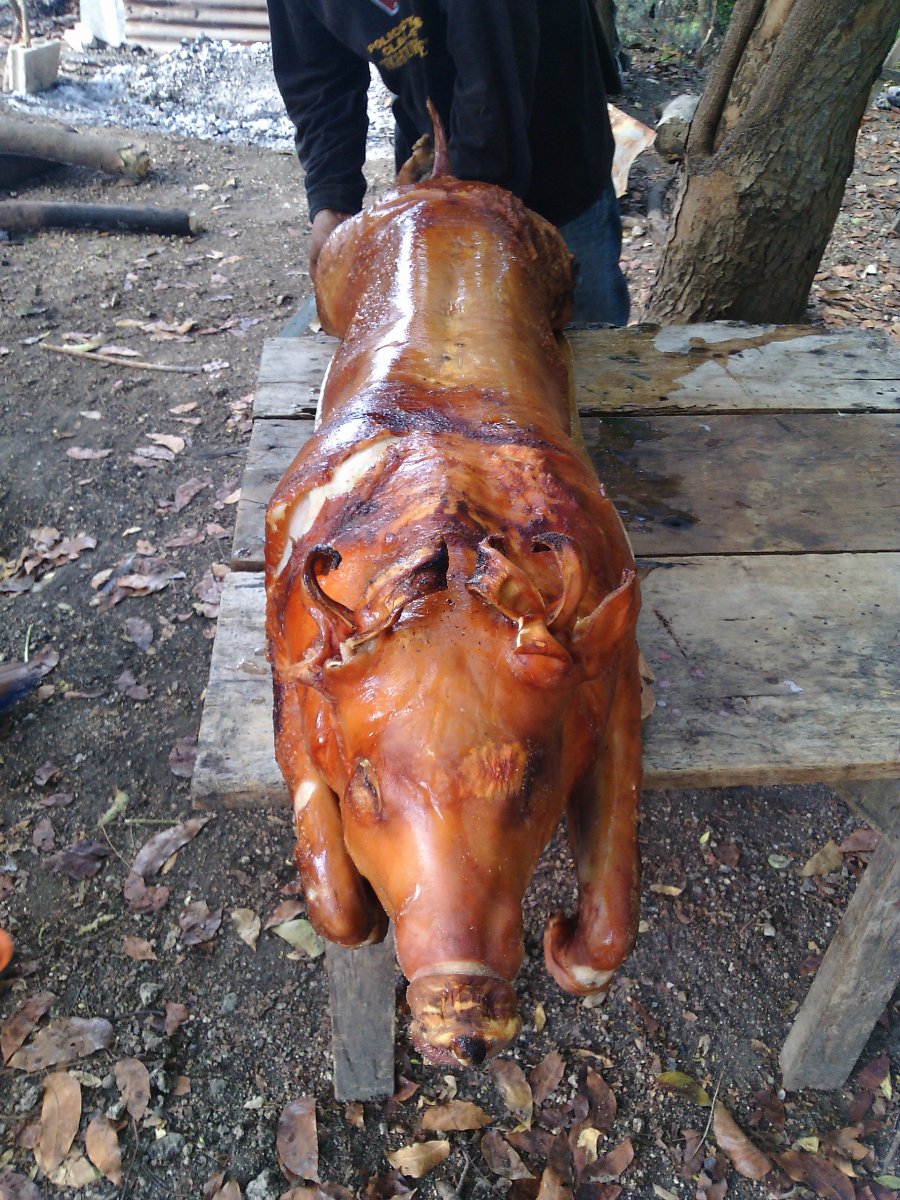 Lechon, delicious, crispy