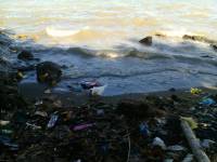 Pollution