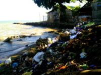 Garbage, pollution, seashore