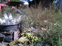 Garbage, pollution