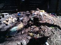 Garbage, pollution
