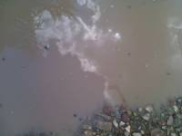 Dirt