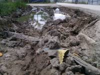 Dirt