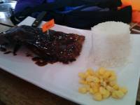 Rib