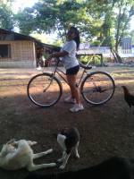 Bike, exercise, dogs