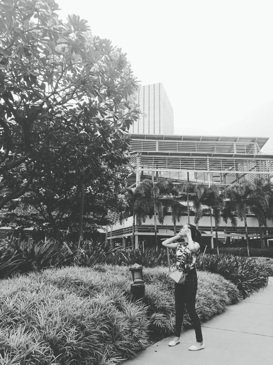 A day @ayala