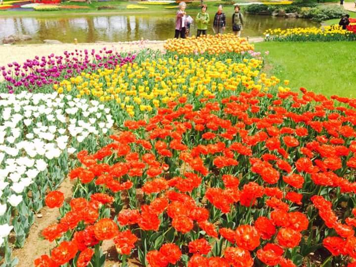 Every flower is a soul blossoming in nature
