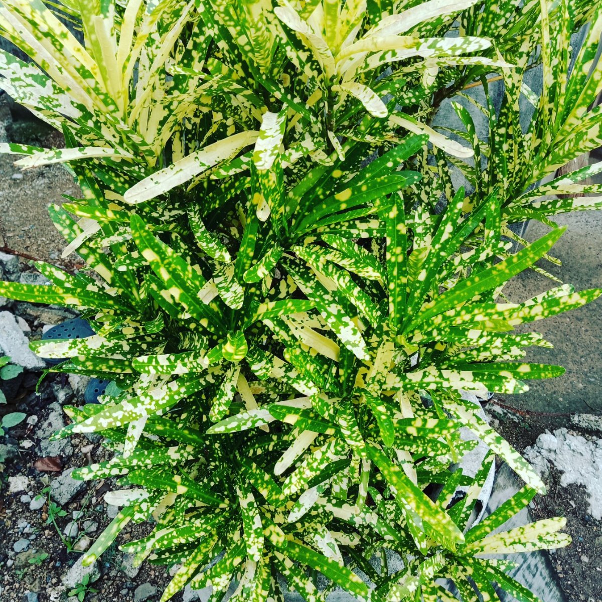 Keep growing