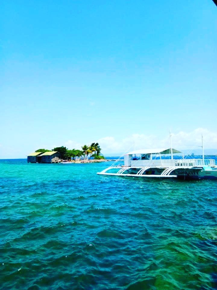 Let the sea set you free, island vibes, swimming