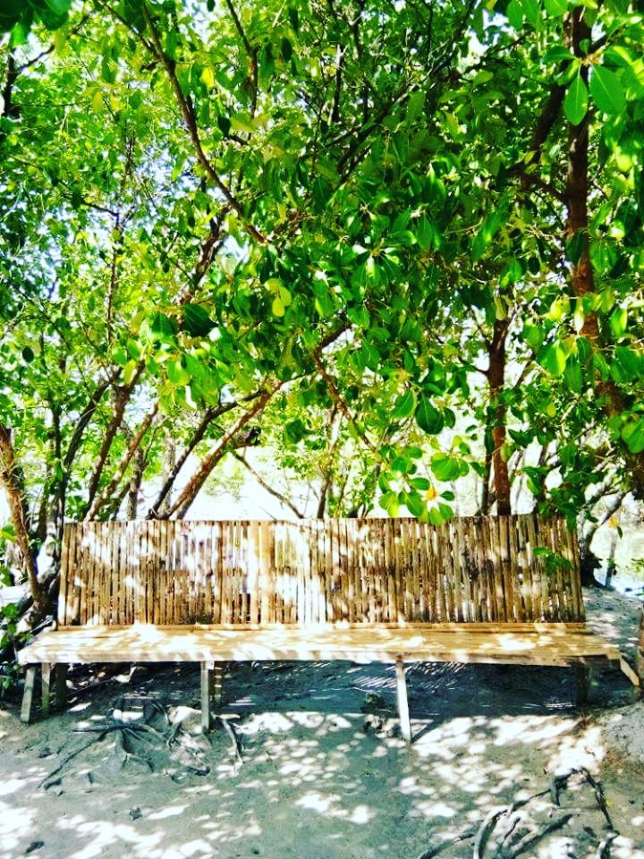 Lets chill and relax, under the beautiful trees, green is love and love, natureds gift