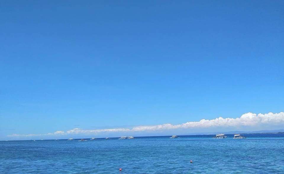 Lovin blue, nature