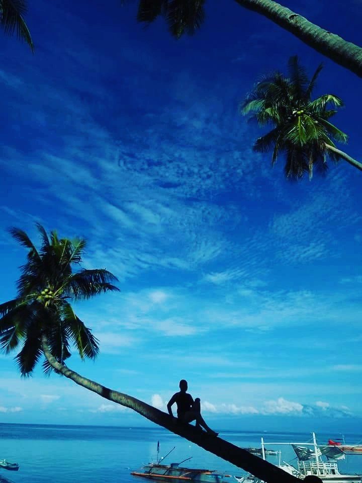 My lovely friend, silhouette