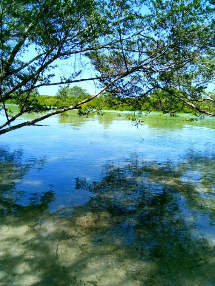 Peaceful place nature is love nature lover green