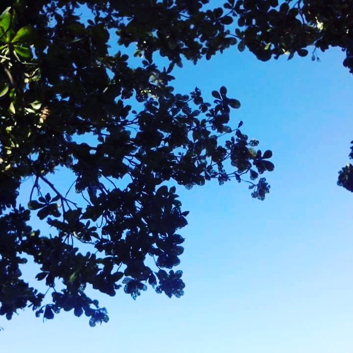 Serene view