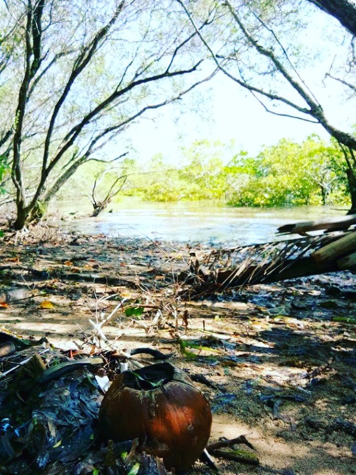 Take me back olango island adventure