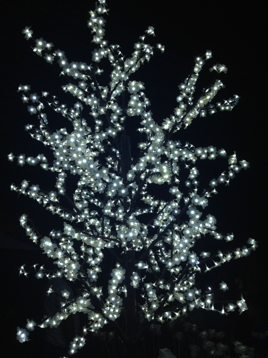 White lights