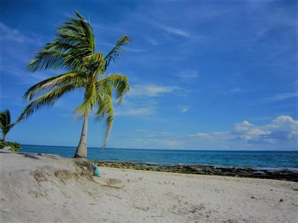 coconut tree feat white sands feat blue sky feat white clouds