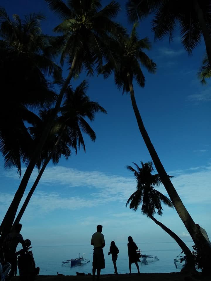 silhouette, perfect picture, natures beauty