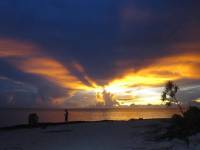 sunsets, silhouette, golden sky