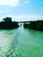 Take me back olango island adventure