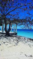 A perfect day at olango island