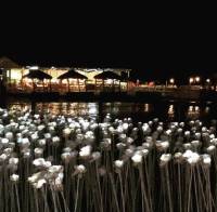 10000 roses and the floating restaurant