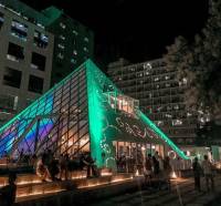city night life