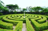Beautiful Labyrinth