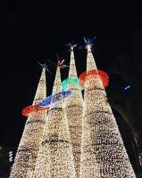 Christmas tree lights