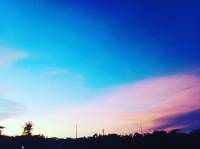 Nature is the art of God
