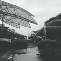 Black n` White