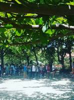 @el aquino beach resort, family reunion